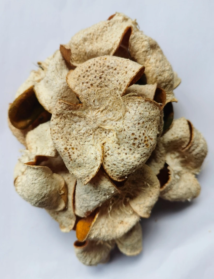 广东新会陈皮，双水2024年驳枝细叶油皮陈皮代用茶