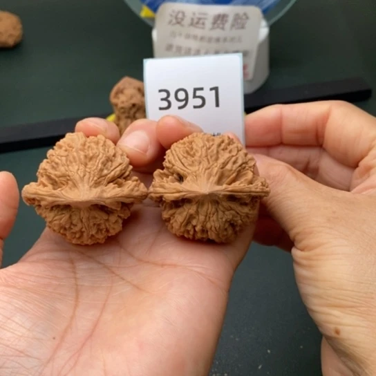 把件文玩核桃43官帽3951