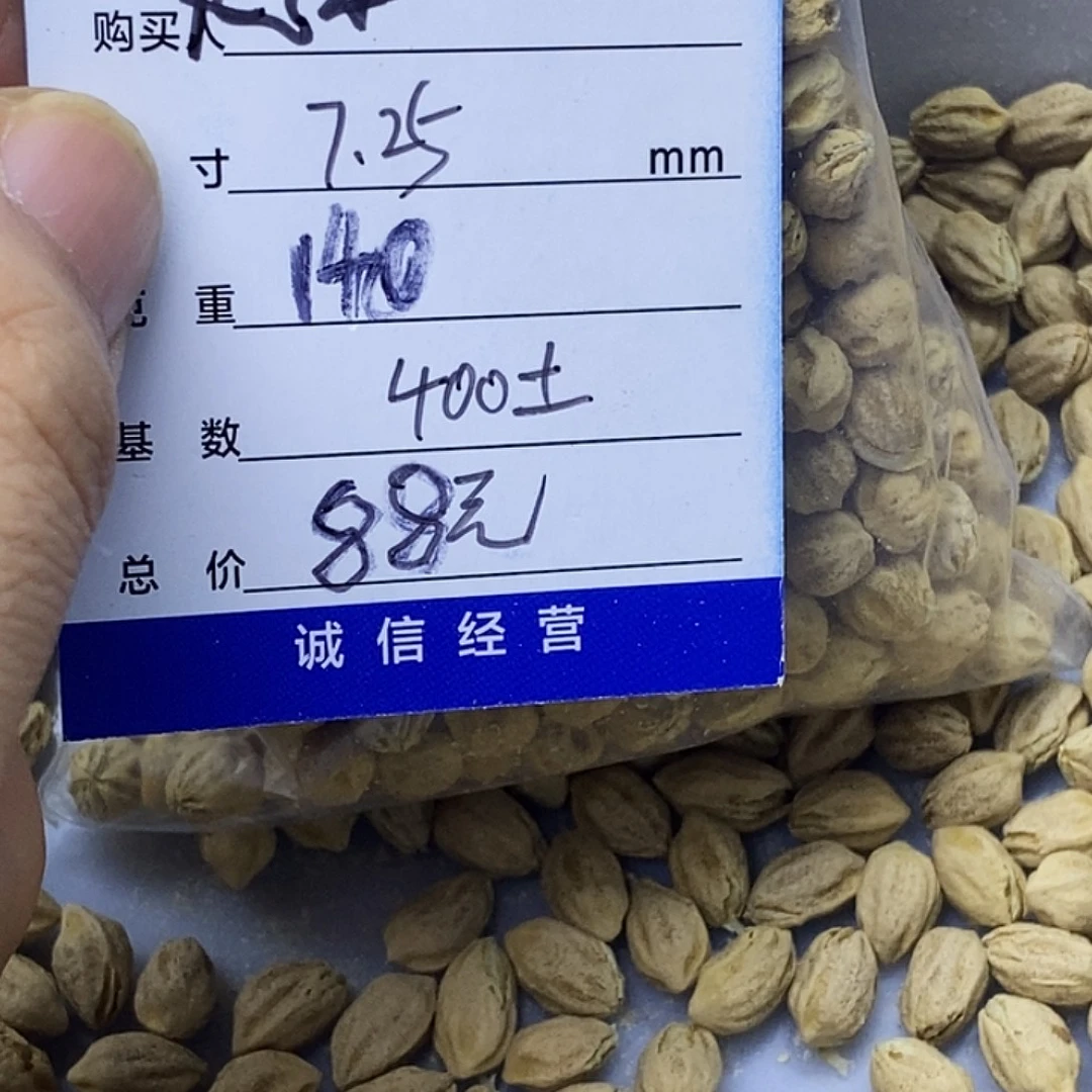 德***吊坠柏香籽/百香籽