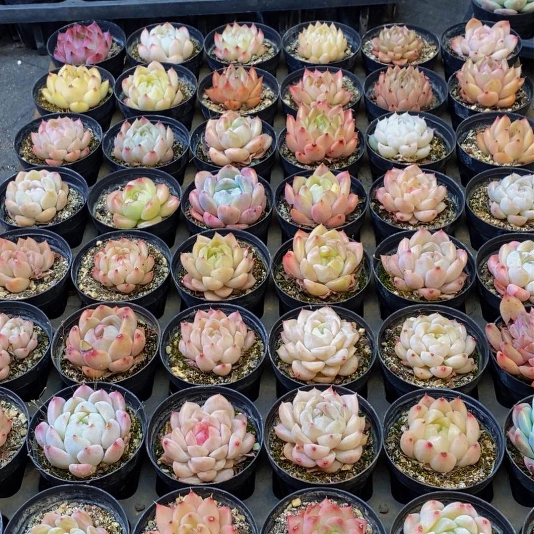 321的人在一起的时候就