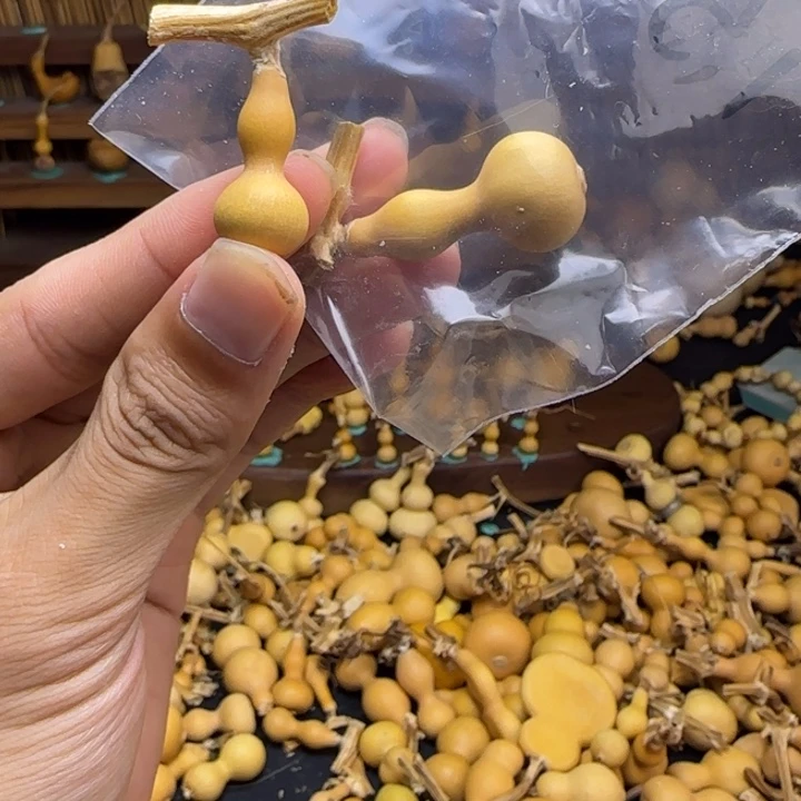 志***型郭富城v回家看姥姥看空间吧