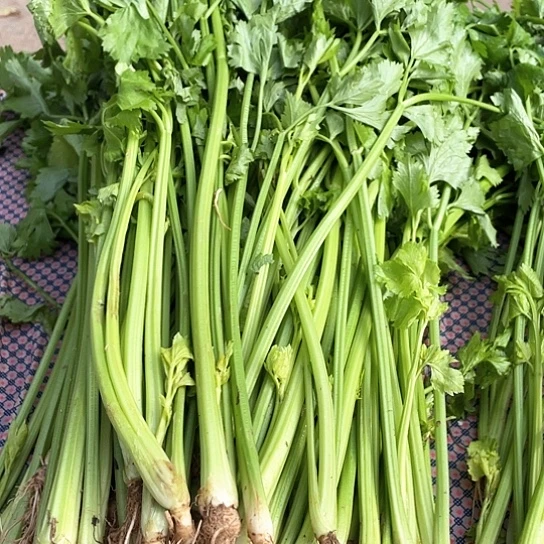 中国大陆芹菜两斤含箱赶集
