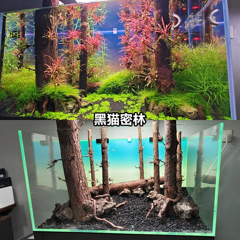 黑猫骑士密林鱼缸水草缸造景森林之歌杉木杜鹃根山水石森林景