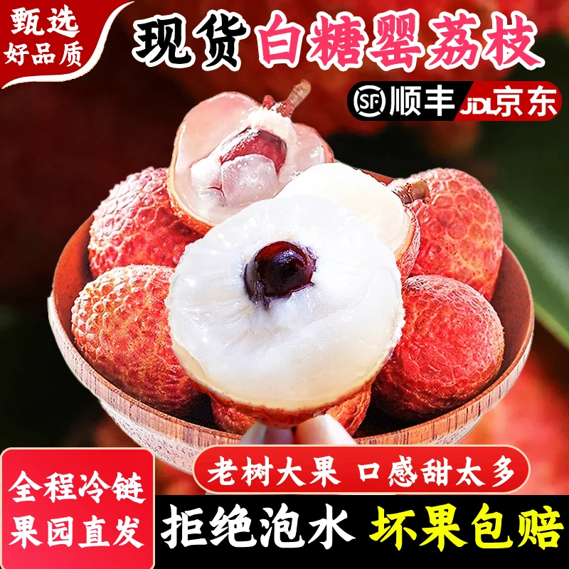 【顺丰包邮】高州水库新鲜白糖罂应季现摘现发皮薄肉厚老树荔枝
