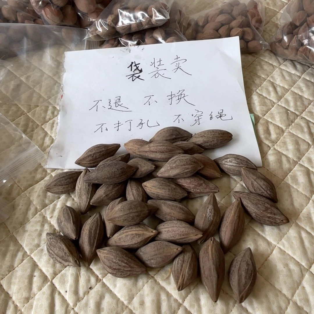家***只不退不换dfgsfg