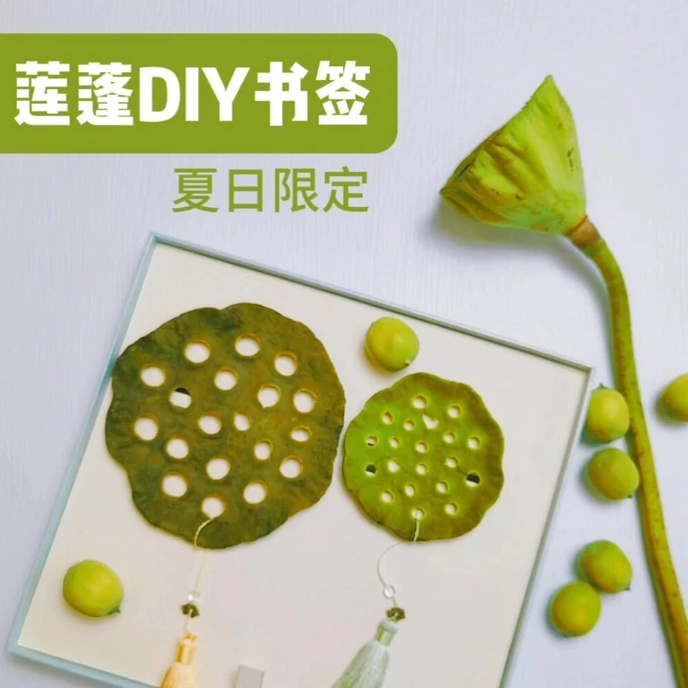莲蓬手工diy夜灯及书签成品夏日手作材料包亲子活动创意比赛作品