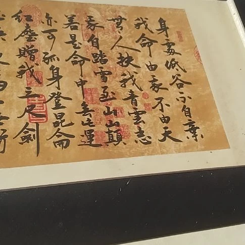 书法青云志书法作品直播间50/205