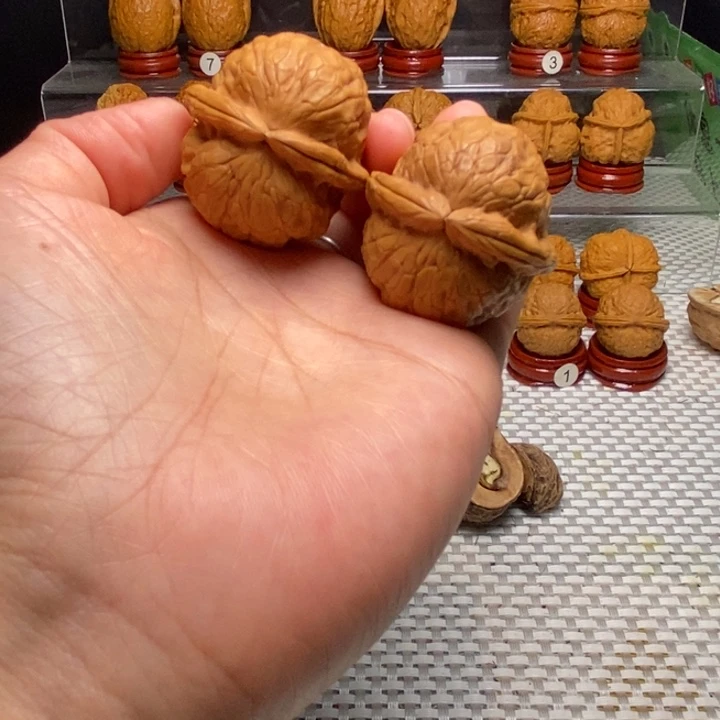 把件文玩核桃40金龟玉甲