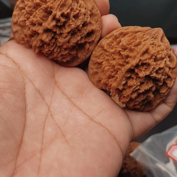 华***子核桃百花山46尺核桃