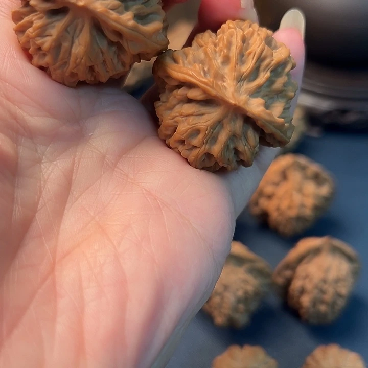 蟹***.木桃树是由原株茎