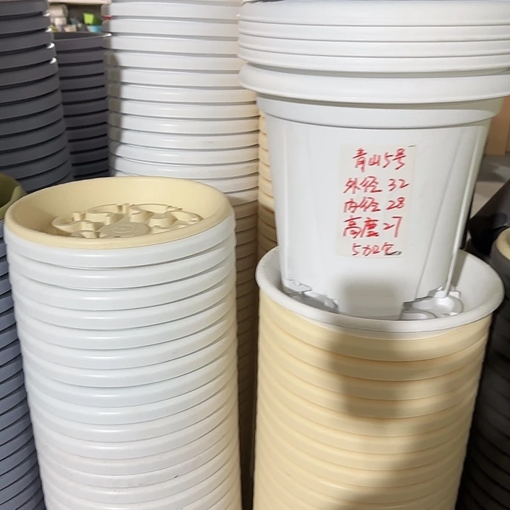 青山5加仑口径32无托纯白5个