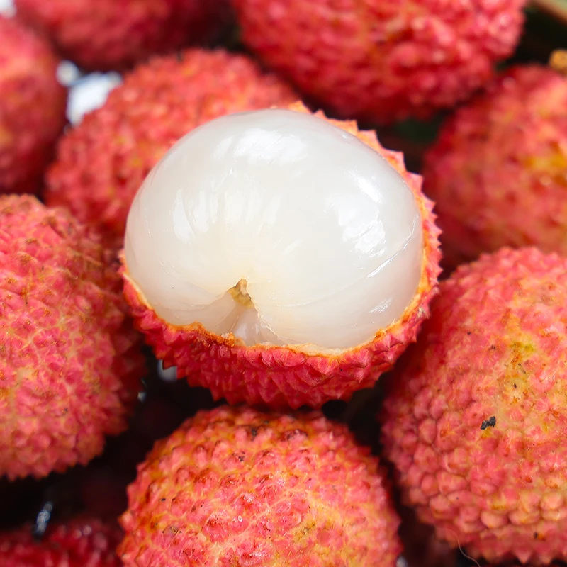 【欢乐果园】广东桂味荔枝4.5斤（单果重13-20g）