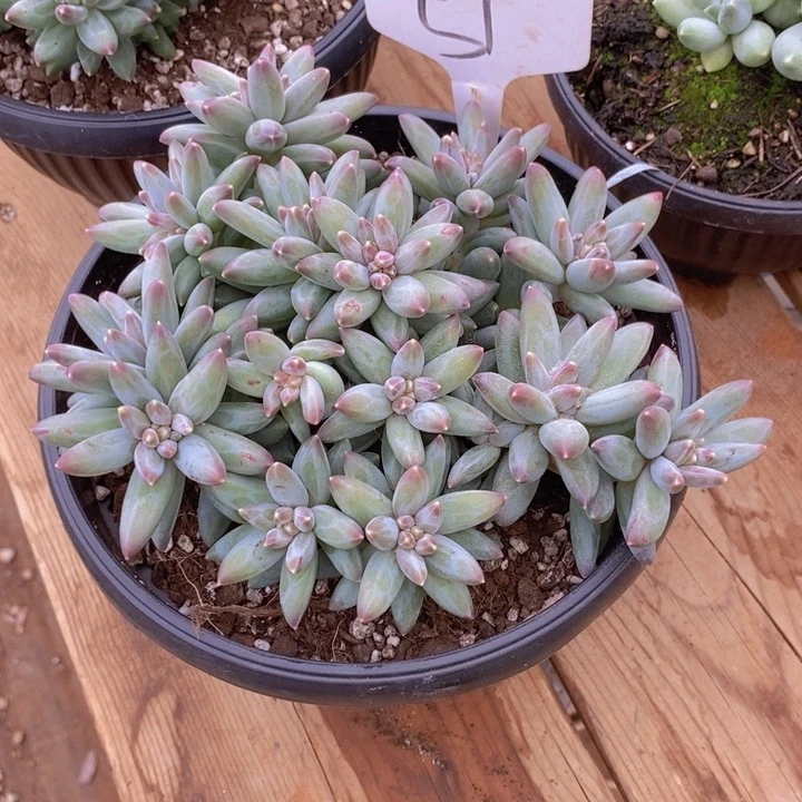 这么多事就不要做