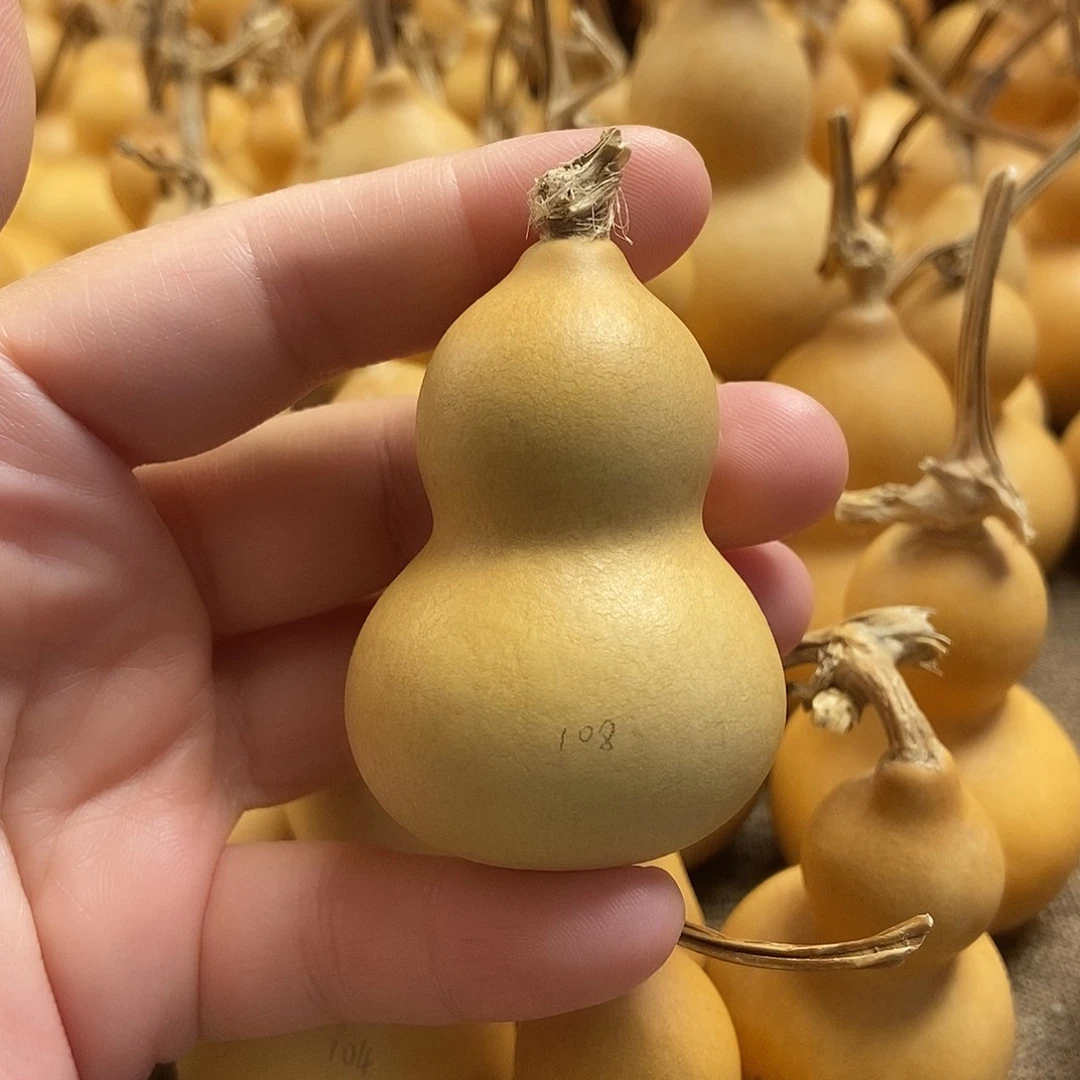 文玩葫芦 完美主义者 慎拍108