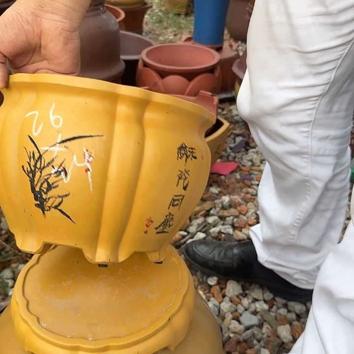 紫砂花盆紫砂花盆