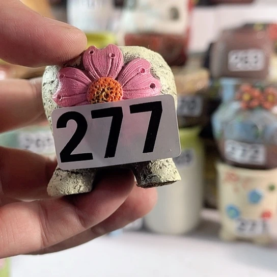 红陶多肉植物花盆