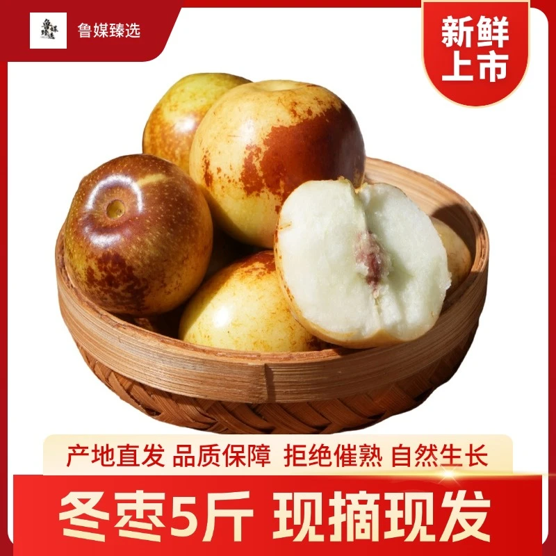 沾化冬枣脆甜多汁产地直发包邮新鲜水果