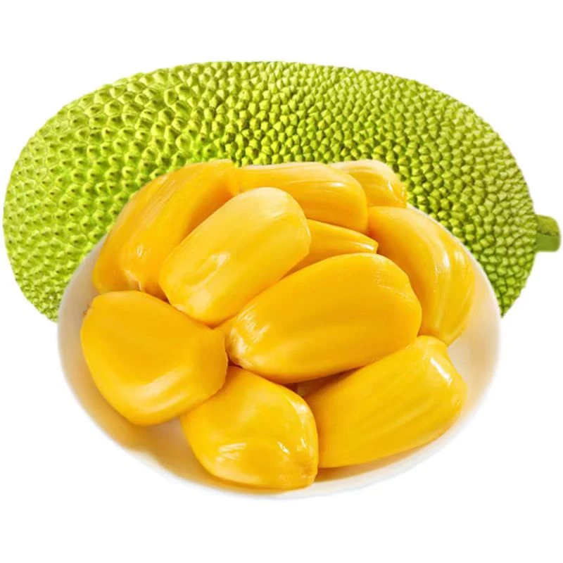 红肉菠萝蜜（禁止生劈）热带水果红肉菠萝蜜越南社会主义共和国