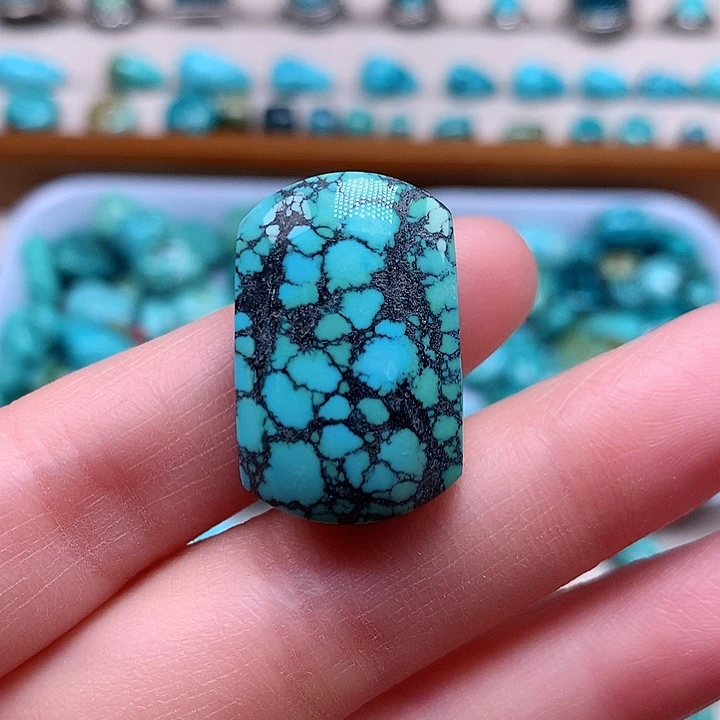 绿松石颈饰未镶嵌