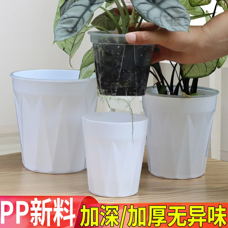 【花草情抒专属】无孔花盆青山盆蝴蝶兰直用懒人自吸水外盆