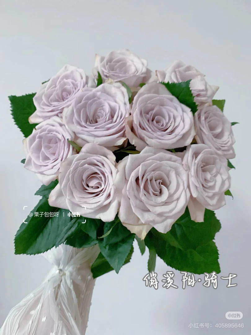 【俏夕阳玫瑰】骑士 任三单顺丰空运包邮鲜切花10支装%20不售后