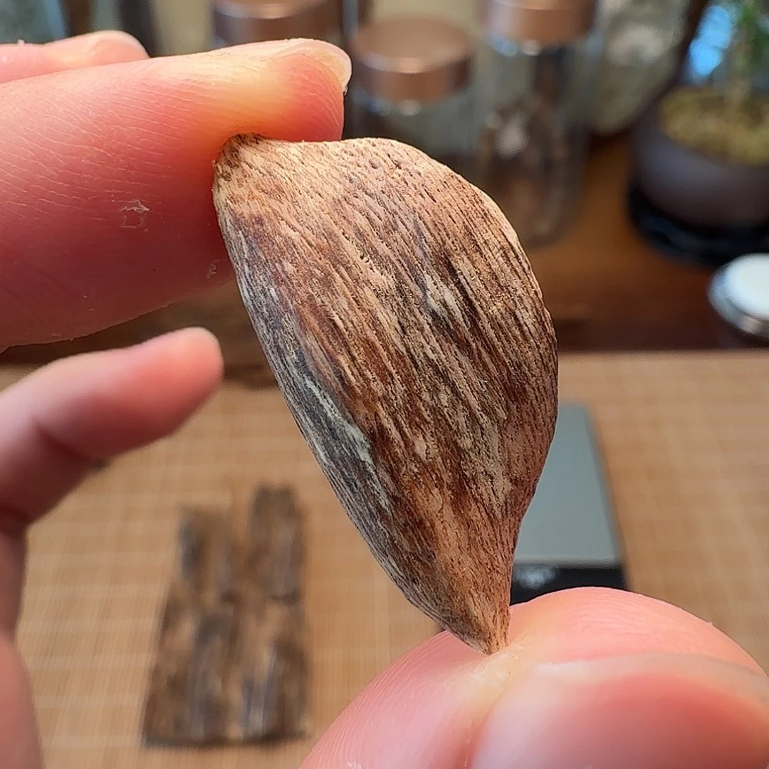 沉香海南黄油格瓜子