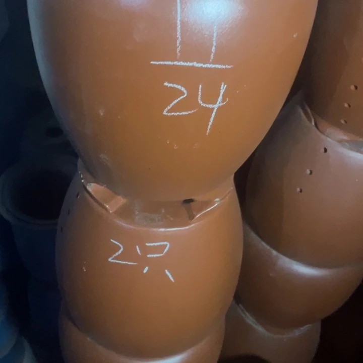 周深周深周深周深