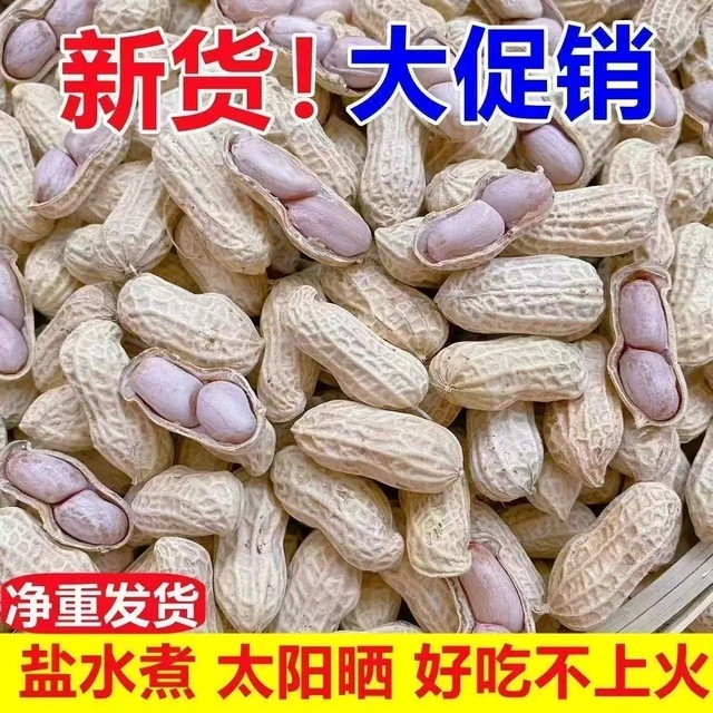 龙岩花生蒜香咸干五香盐水带壳炒货零食熟白晒湿烤水煮花生米