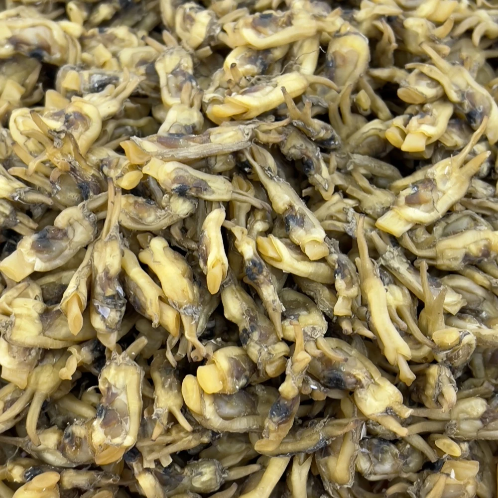 味蒲鲜推荐 2025新货莆田哆头蛏干特产无盐淡晒味甜海鲜干货