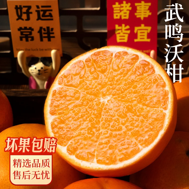 广西正宗水果武鸣沃柑新鲜采摘当季水果皮薄多汁超甜橘子产地直发