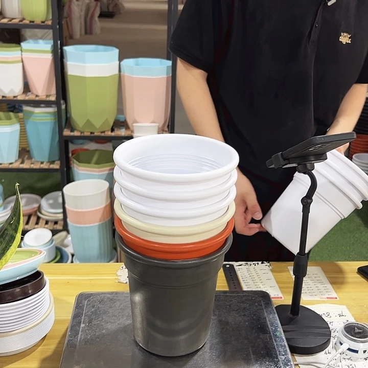 翻边口16.5高17混色无托6只