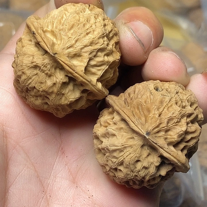 把件文玩核桃云南铁核桃A94