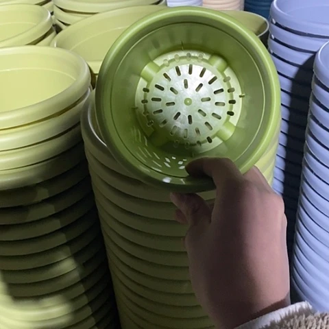 树脂四季1号无托果绿10个