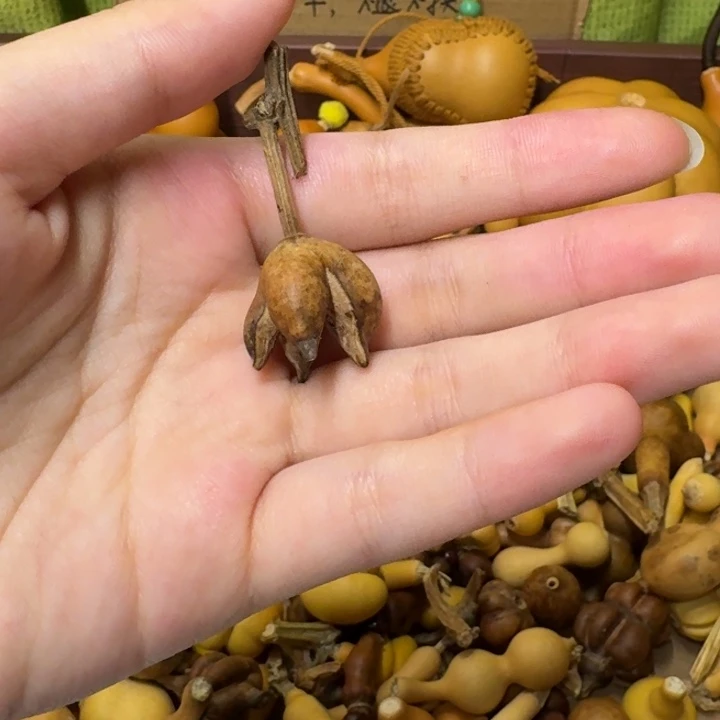 葫芦葫芦葫芦不包邮