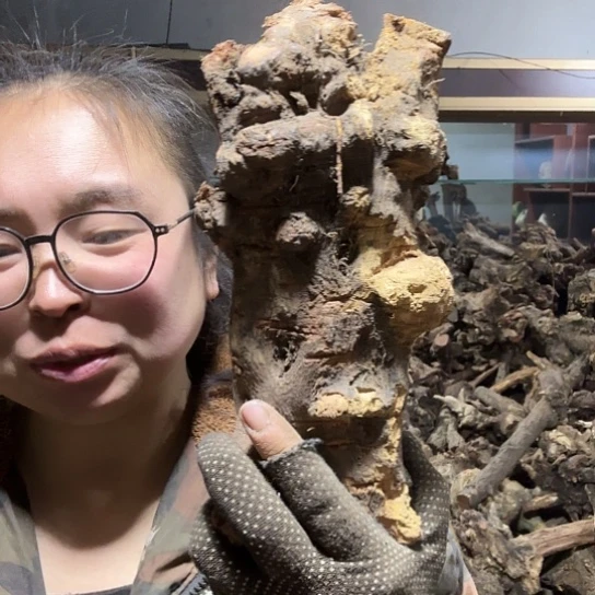 香榧木老****装火琉璃的毛料摆件