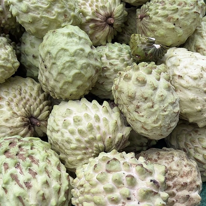 中国大陆释迦果3斤