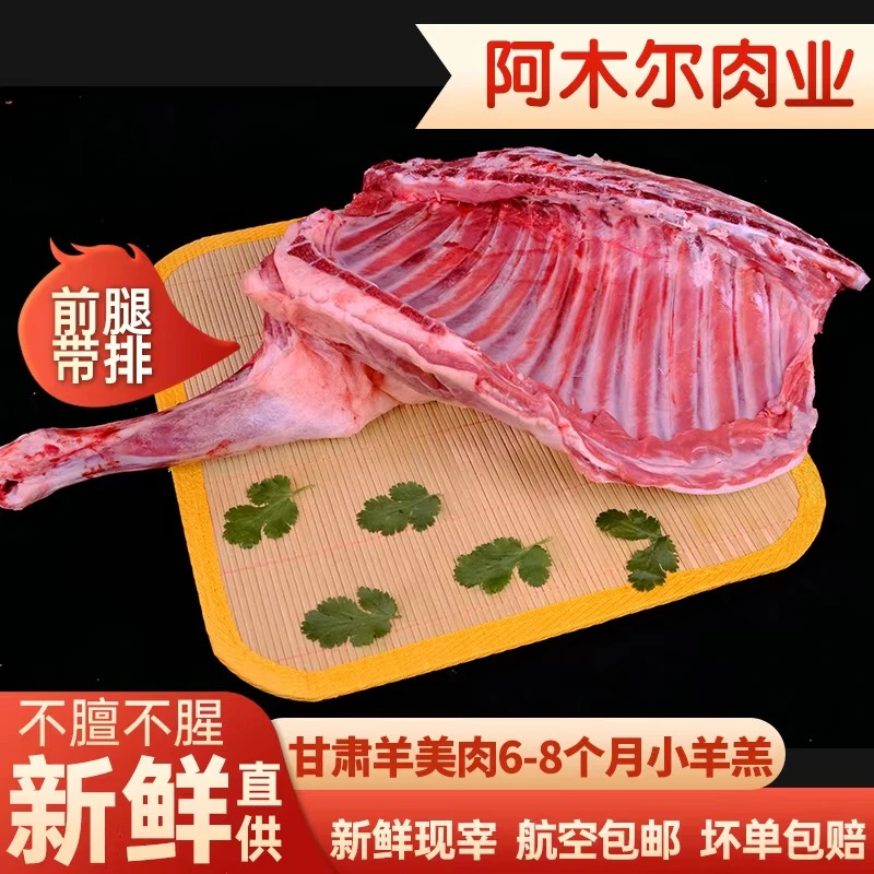 【前腿带排】阿木尔家新鲜现切甘肃羊羔肉 鲜嫩 炖 煮 烧烤 涮火锅