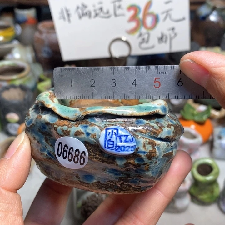 拍3送一个小礼物花盆