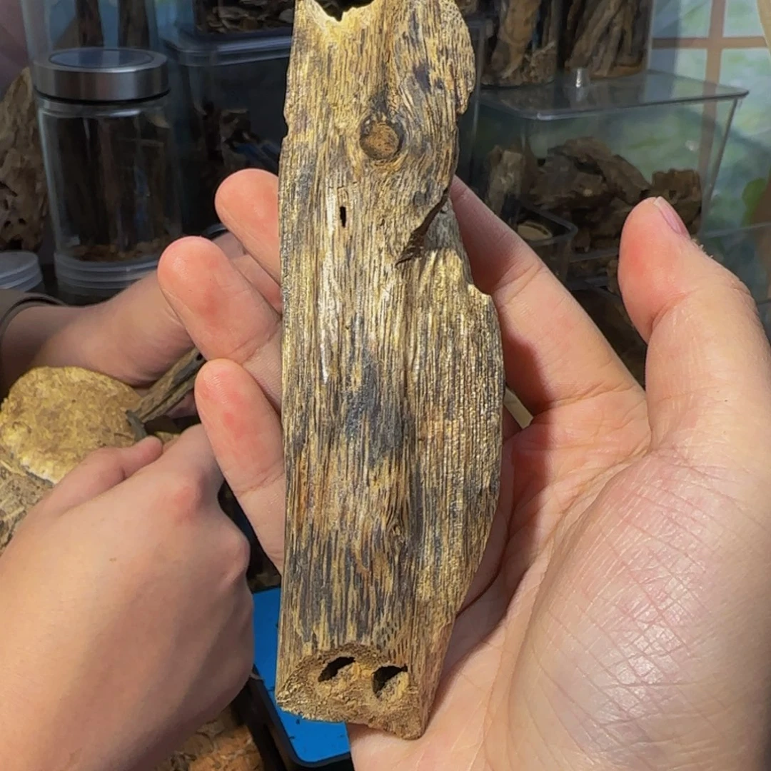 沉香碎屑沉香22克50