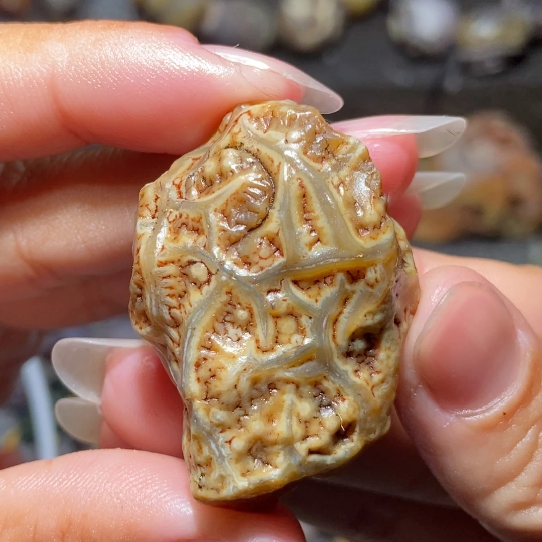 未镶嵌玛瑙/玉髓珠宝半成品