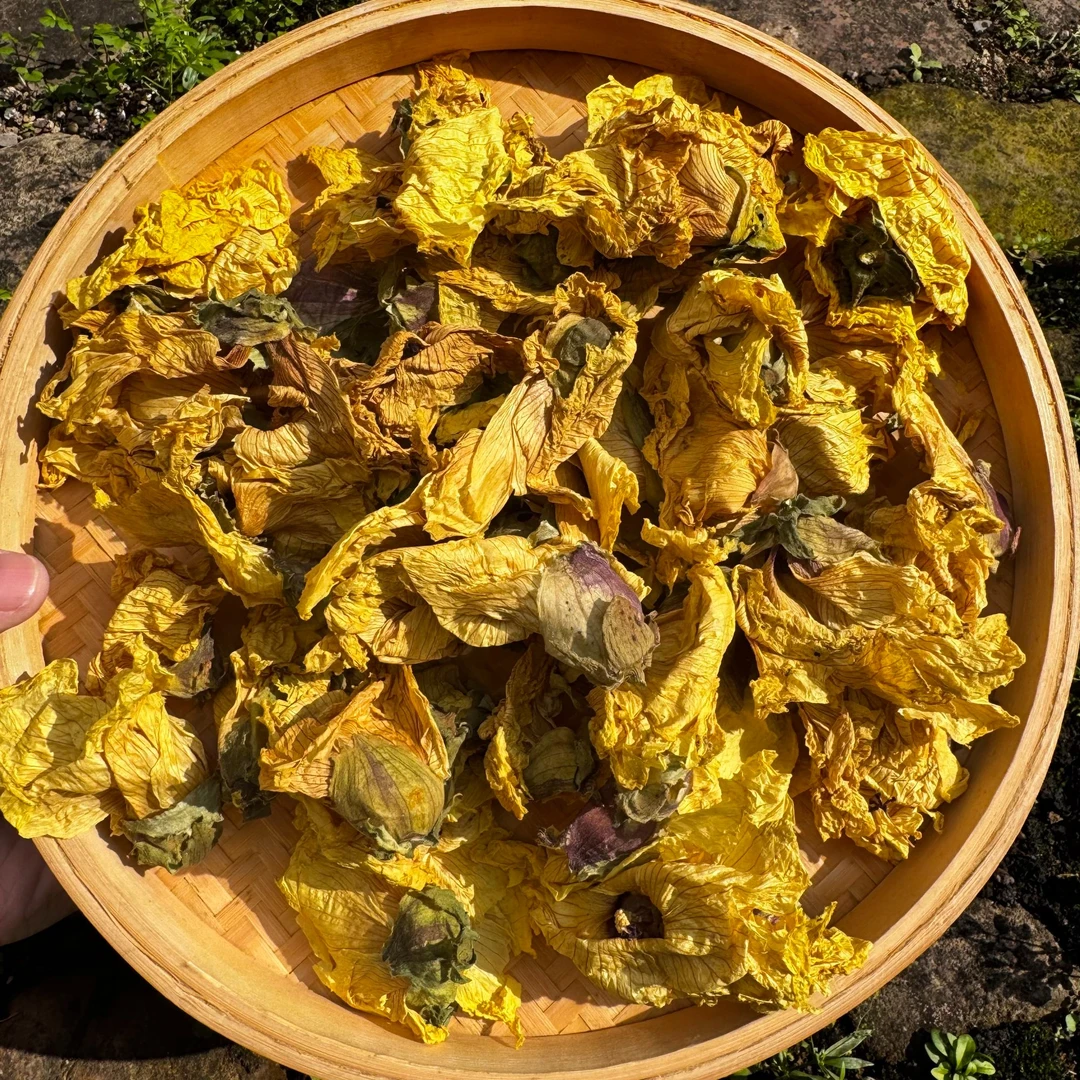 高山农家养雌蕾花