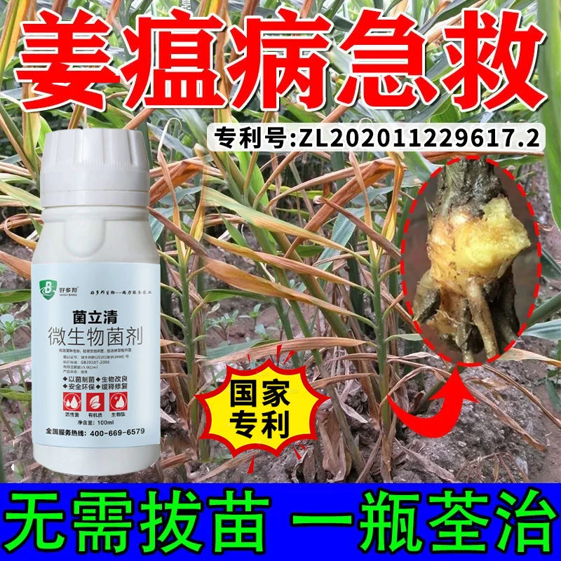 生姜病全治姜瘟净姜瘟灵大姜烂脖子病根茎基腐病大姜专用剂