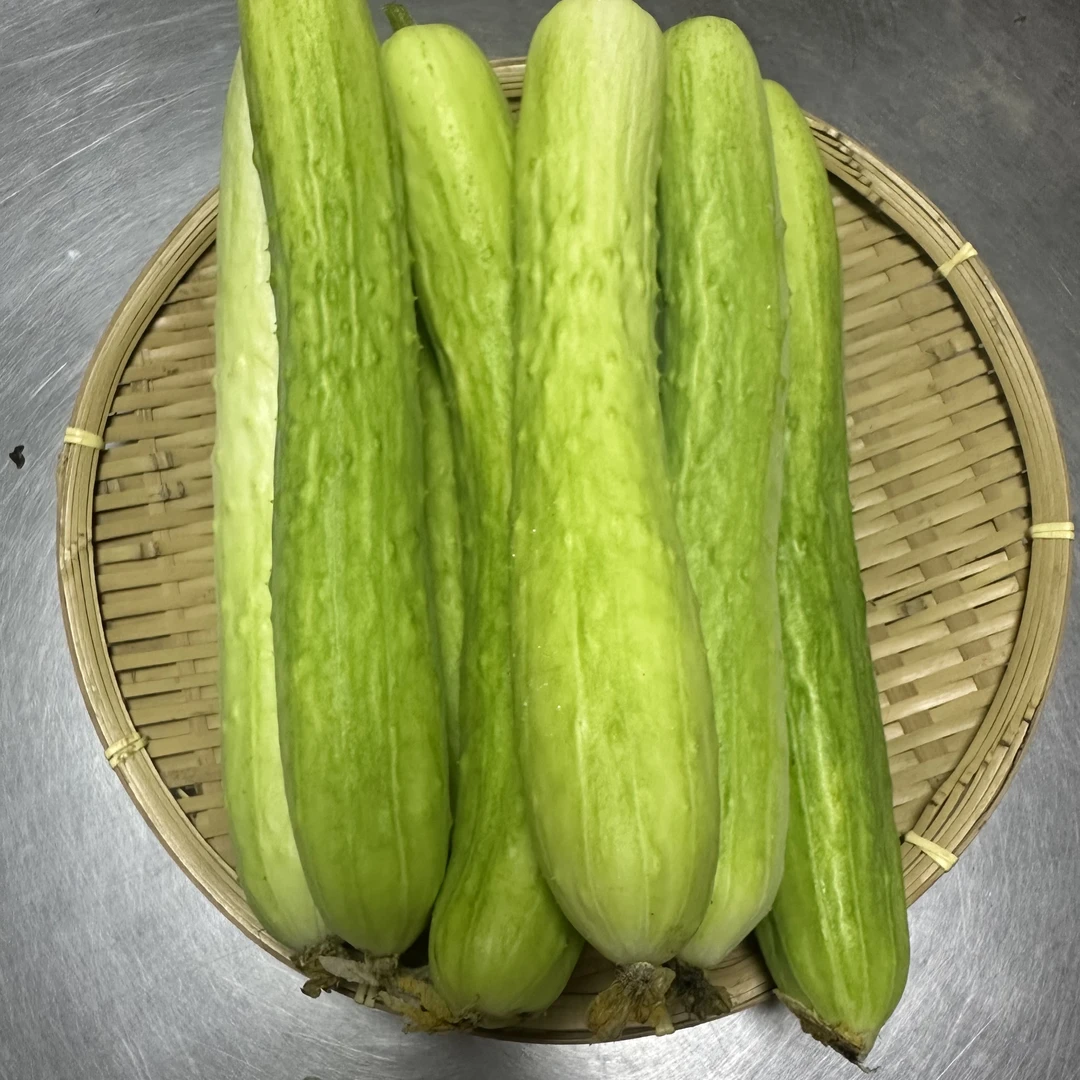 黄瓜6斤 【肖胜蓝农场】   湖南宁乡 脆爽清香