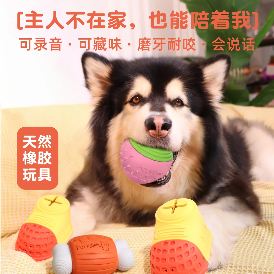 狗狗情绪陪伴系列玩具 可藏味可录音 磨牙耐咬天然橡胶狗狗玩具