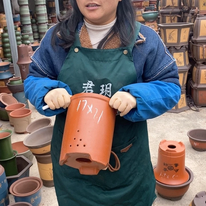 紫砂花盆盆栽花卉苗木种植