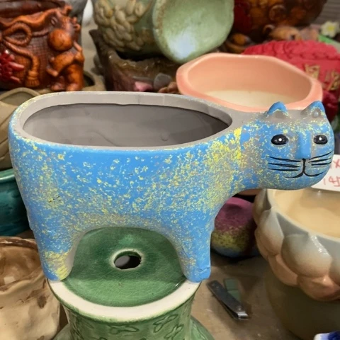 站着猫313131313133