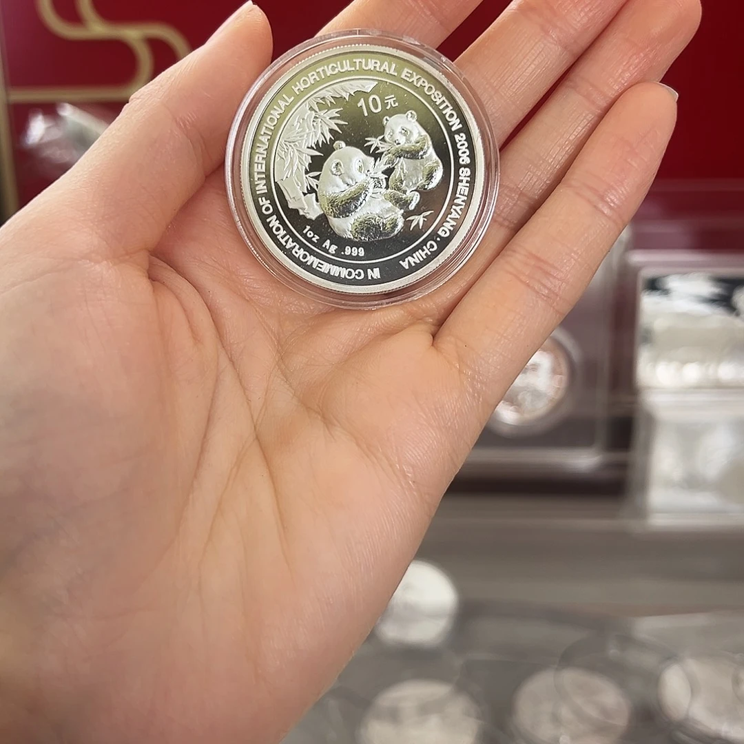 周***晴纯银06年沈阳加字猫