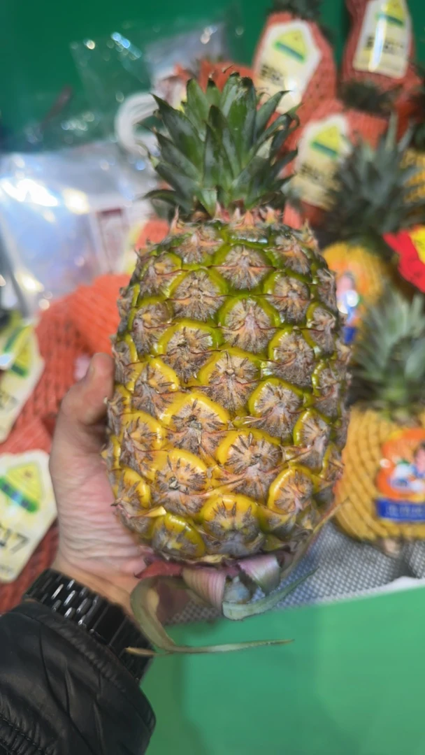 金钻17号凤梨一个