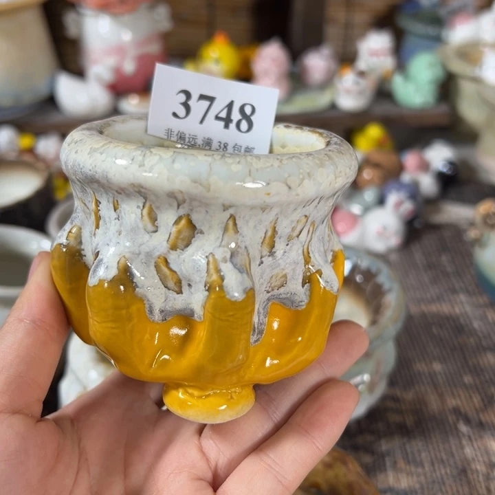 活动价满30包邮景德镇手工花盆
