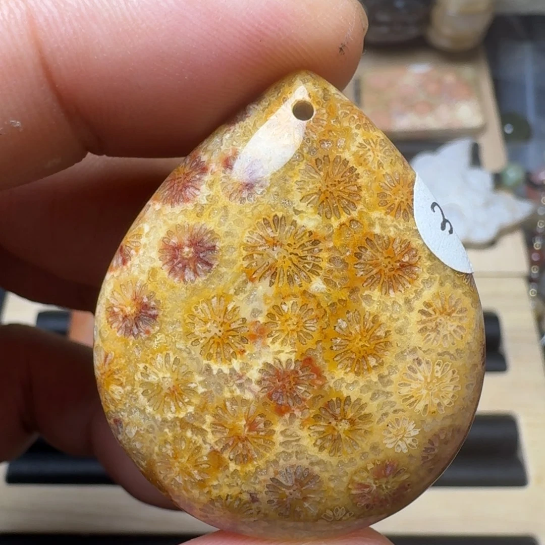 未镶嵌纯天然色有机玉石保真色硅化玉